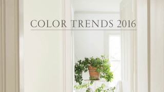 Hallway pottedplant window colortrend2016 constancecopeman - constance copeman free wallpaper