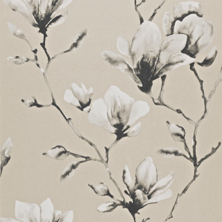 Flower wallpaper beige background black - a picture of a flower free wallpaper