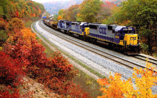 Train autumn forest tracks leaves - the track free wallpaper