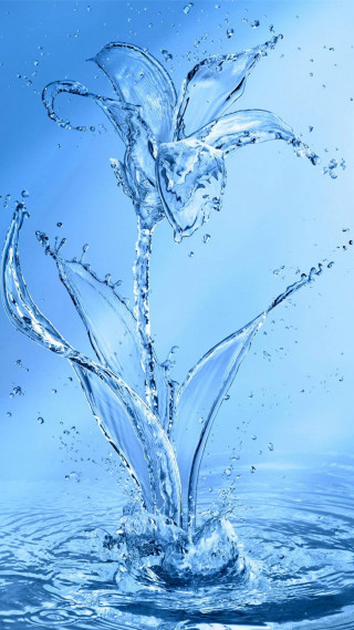 Flower splashing water blue background - free rain wallpaper for mobile