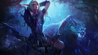 Woman bow wolf forest trees - league of legends free wallpaper