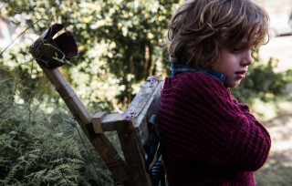 Young boy wooden suitcase forest - a young boy free wallpaper