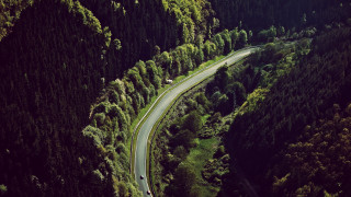 Winding road forest car driving - winding free wallpaper for desktop