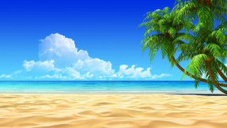 Palm tree sandy beach blue 6 - a sandy beach free wallpaper
