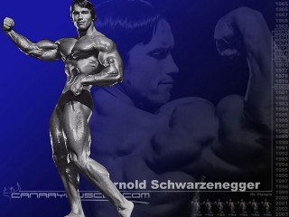 Muscular man blue background image - arnold free wallpaper for desktop