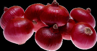 Onions group white surface background - a white surface free wallpaper