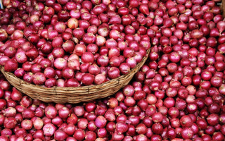 Basket of onions in pile - ceferí olivé free wallpaper