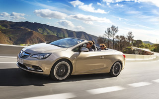 Car driving road dog man - a road free wallpaper