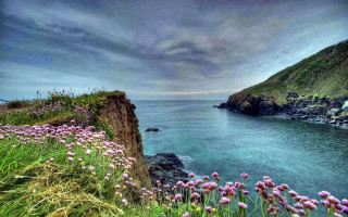 Cliff flowers ocean landscape nature - it next free wallpaper
