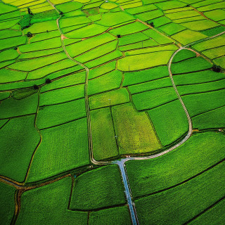 Green field river sky background - free landscape wallpaper for tablet