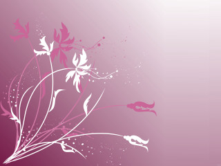 Pink white floral background bird - charles rennie mackintosh free wallpaper