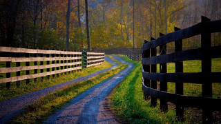 Dirt road fence forest night - beautiful landscape free wallpaper for desktop