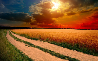 Dirt road field sunset clouds 7 - a dirt road in a field free wallpaper