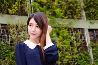 Woman fence bushes green plant - free flowers wallpaper for desktop