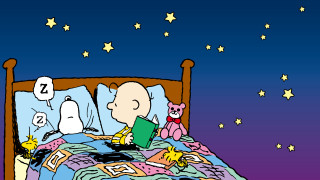 Cartoon person reading book bed - the bed free wallpaper