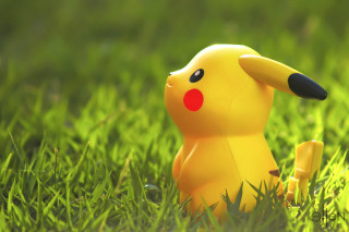 Yellow toy grass red nose - its nose free wallpaper
