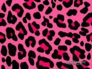 Pink black animal print background - rasquache free wallpaper