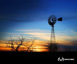 Windmill sunset tree blue sky - a windmill in the distance free wallpaper