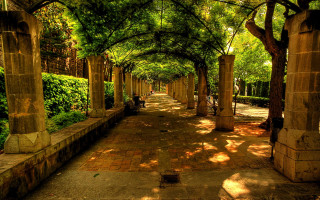 Walkway lined with trees and - arthur b. carles free wallpaper
