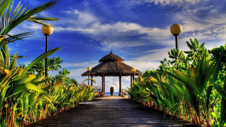 Wooden walkway gazebo tropical plants - a gazebo free wallpaper