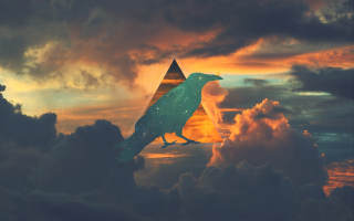 Bird cloud sky triangle object - sky free wallpaper
