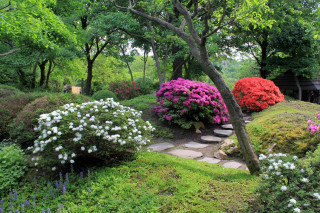 Stone path colorful flowers bench - a stone path free wallpaper