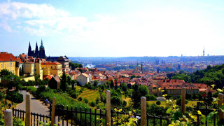 City buildings trees fence town - building and trees free wallpaper for desktop