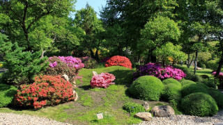 Garden flowers rocks bench middle - a garden free wallpaper