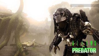 Predator sci fi environment green - primitivism free wallpaper for desktop