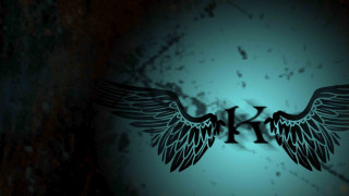 Wing letter h black white - kinetic free wallpaper