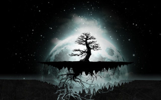 Tree lake moon background full - dark night free wallpaper for desktop