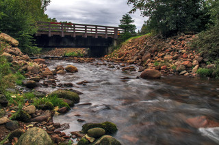 River bridge rocks trees background - rock and trees free wallpaper