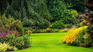 Lush green garden flower path - the center free wallpaper