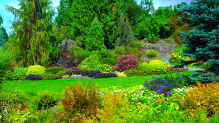 Lush green park trees flowers 3 - a lush green park free wallpaper