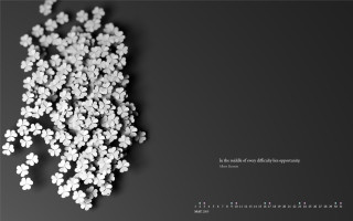 White flowers black background ambient - white flower free wallpaper