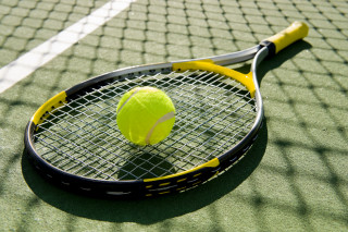 Tennis racket tennis ball court - free sports wallpaper
