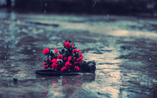 Flowers shoe rain bunch beautiful - elsa bleda free wallpaper