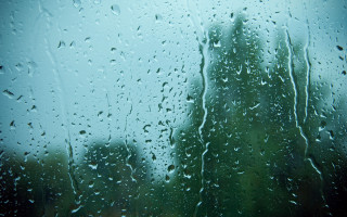 Window rain drops tree blue - a photo free wallpaper