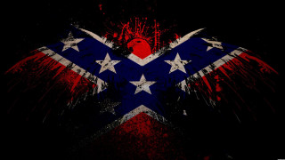 Red white blue bird stars 2 - darrell riche free wallpaper