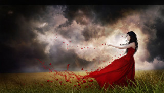 Woman red dress field red - a red dress free wallpaper for desktop