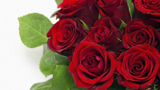 Red roses bouquet green leaves 5 - a bouquet free wallpaper