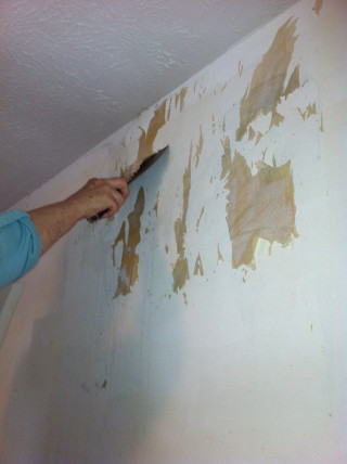 Man painting brown wall white - paint free wallpaper for mobile