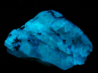 Blue rock bioluminescence holography blood - bioluminescence free wallpaper