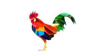 Colorful rooster white background surreal - surreal free wallpaper