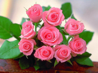 Pink roses wooden box leaves - pink rose free wallpaper