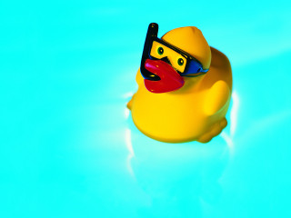 Rubber duck sunglasses floating pool - ducky free wallpaper