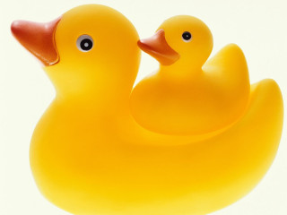 Rubber ducks white surface red - p free wallpaper