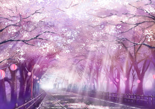 Purple forest train track cherry - the path free wallpaper