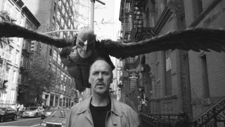 Man bird woman shoulders large - a large bird free wallpaper