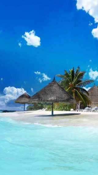 Beach umbrella chairs palm sky - cloud above free wallpaper for mobile